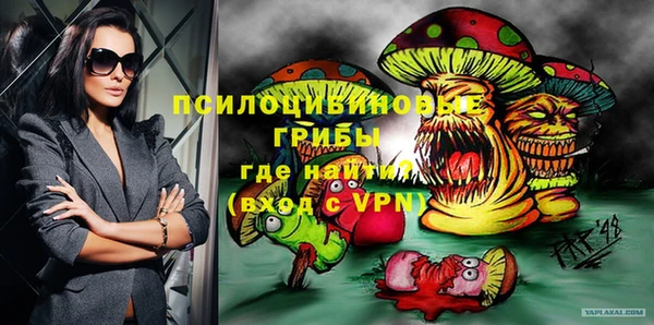 крисы Аркадак