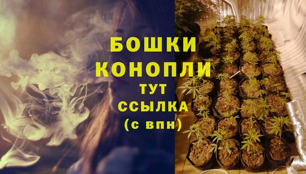 крисы Аркадак