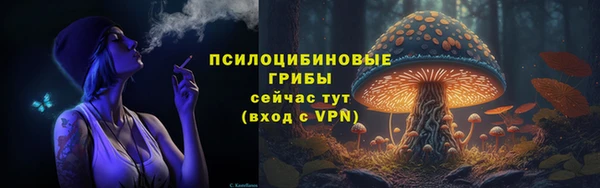 мескалин Арсеньев