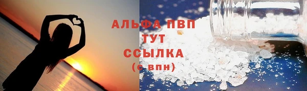 крисы Аркадак