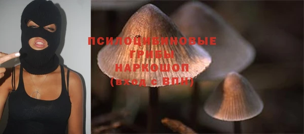 шишки Баксан