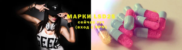 крисы Аркадак