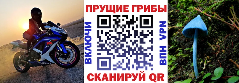 Галлюциногенные грибы Psilocybe  Купить где  Мончегорск 